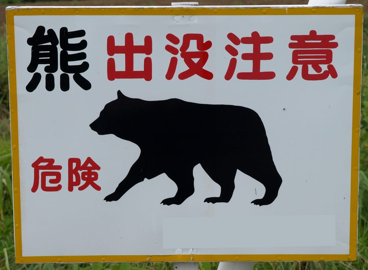 福井県 秋になり県内各地で熊の目撃情報が相次いでいるようです 号外net 福井市