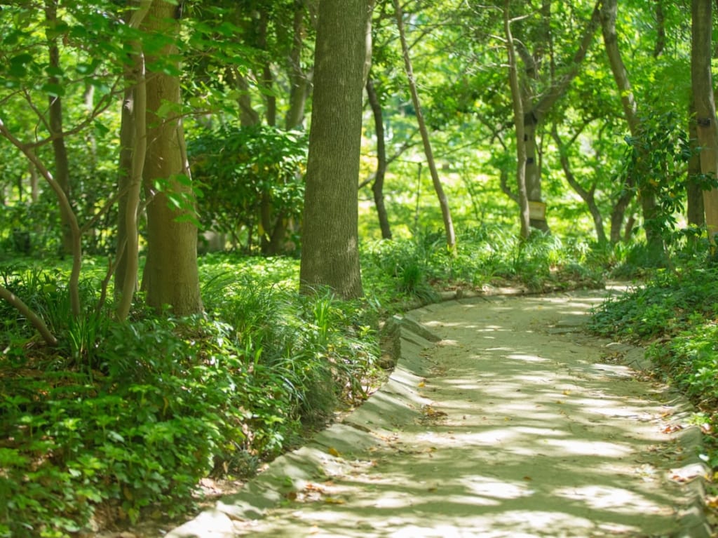 山道