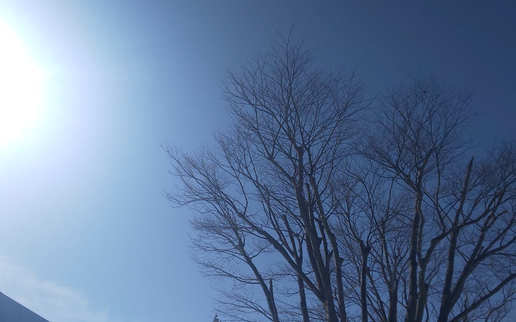 冬　晴れ模様