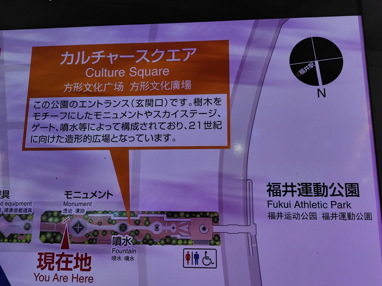 イルミネーションエリア