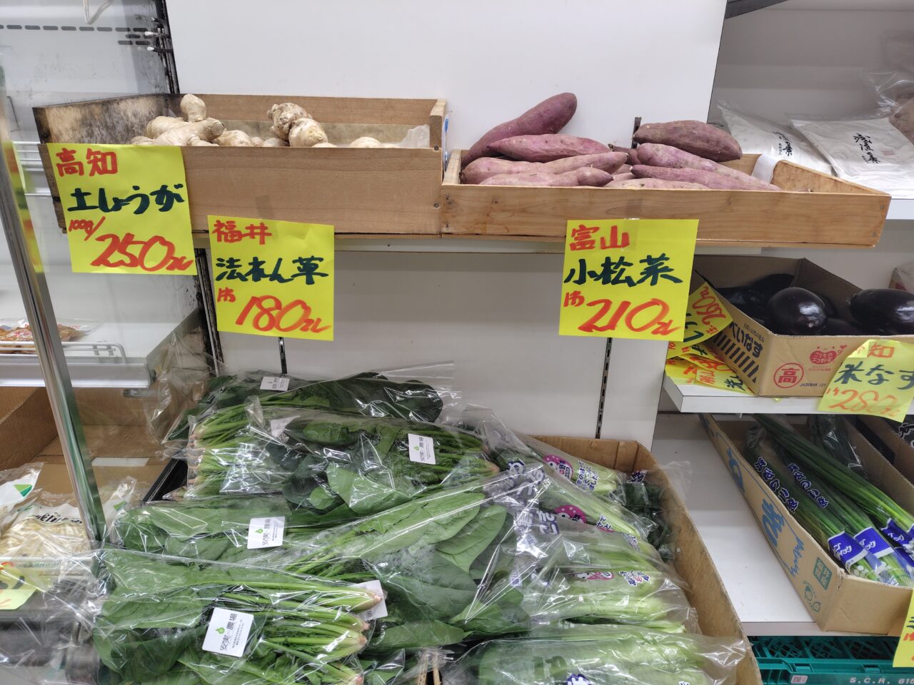 食料品②