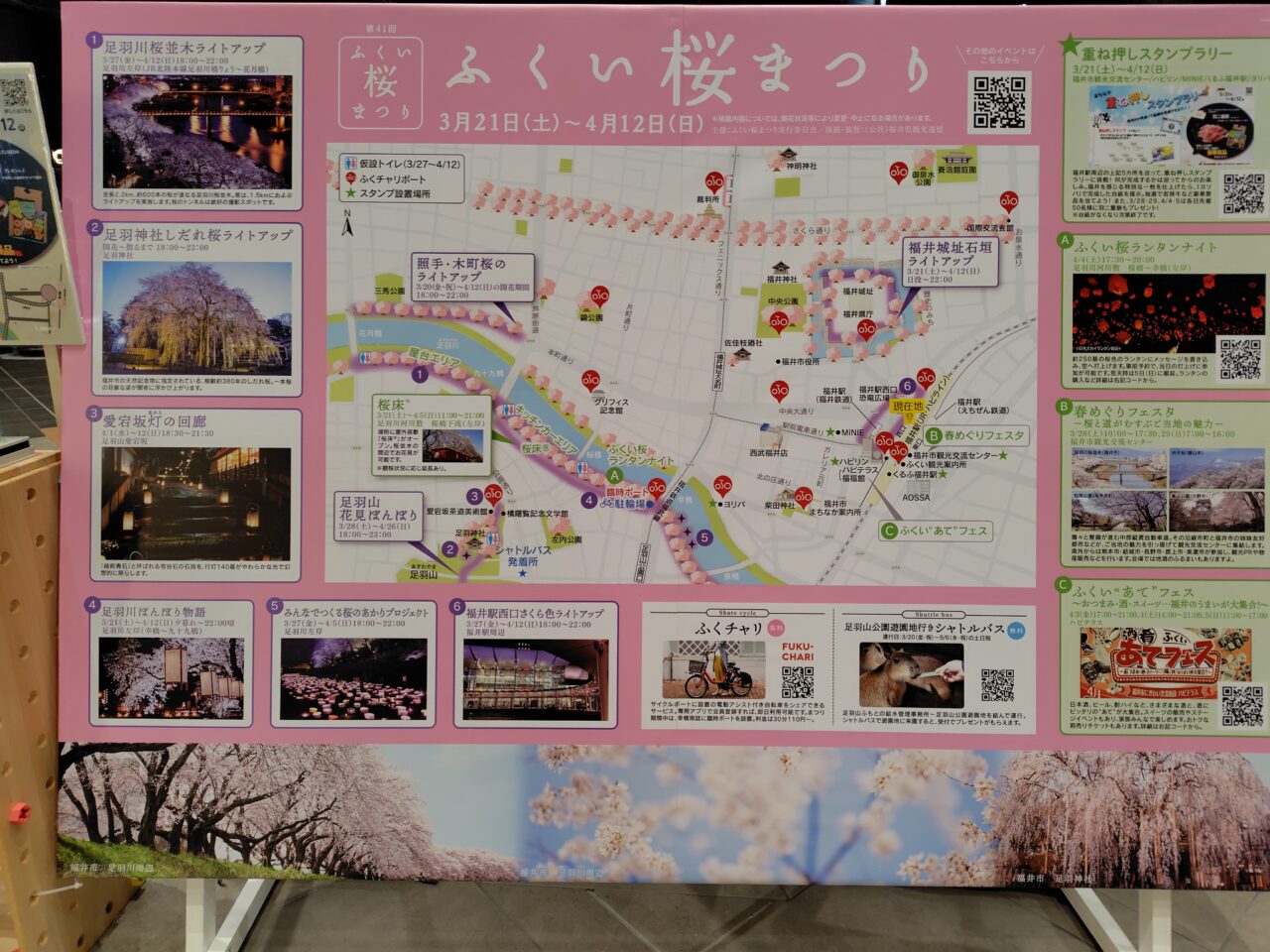 ふくい桜まつり 開場案内
