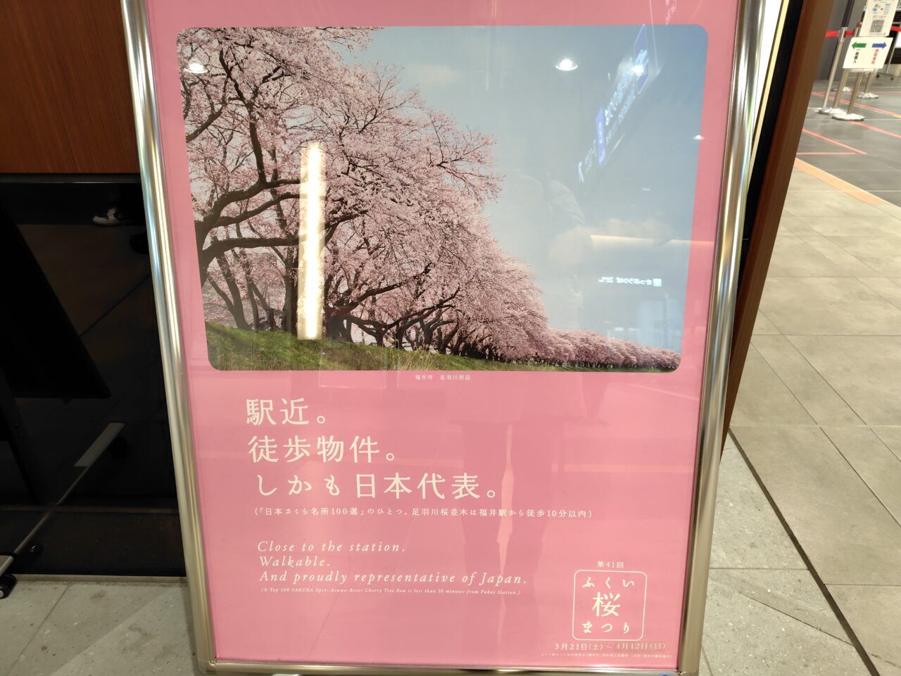 ふくい桜まつり